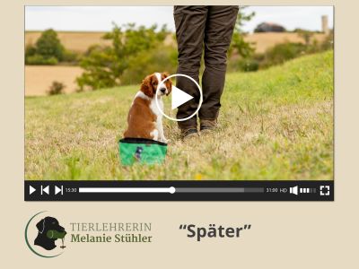 Themenvideo zum Thema: “Später”