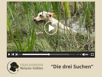 Webinaraufzeichnung zum Thema: “Die 3 Suchen”